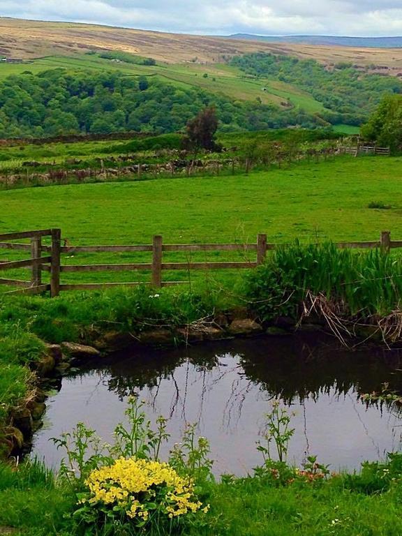 Far Moorside Farm B&B Hebden Bridge Exterior photo